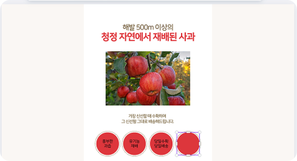 상세 페이지 만들기