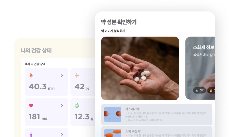 이미지 인식 모델 프로젝트