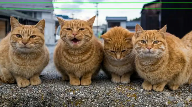 컴퓨터 비전 및 딥러닝