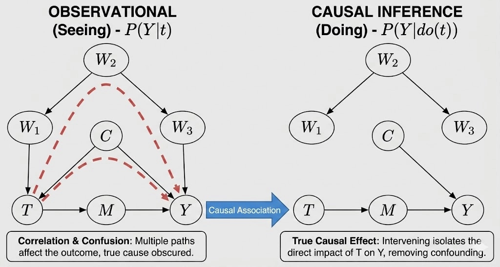 통계 분석과 인과 추론
